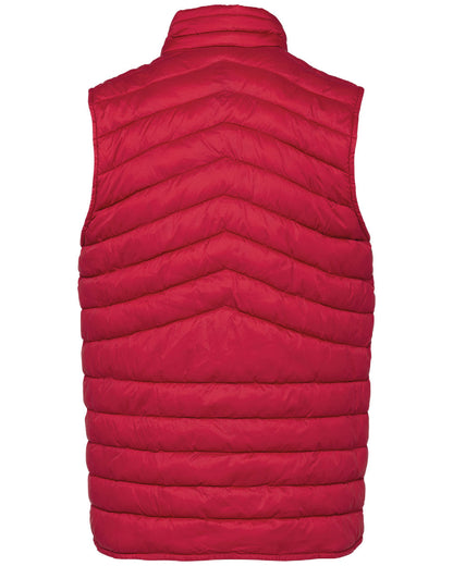PS_NS6005-B_HIBISCUSRED