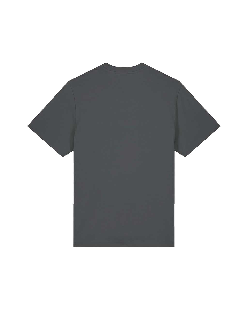 Heavy T-Shirt Unisex