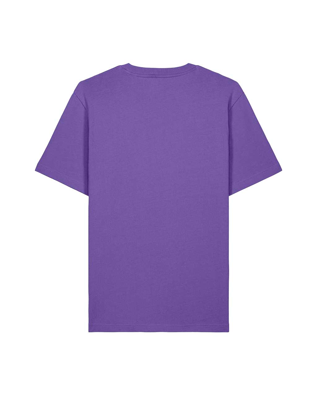 Heavy T-Shirt Unisex