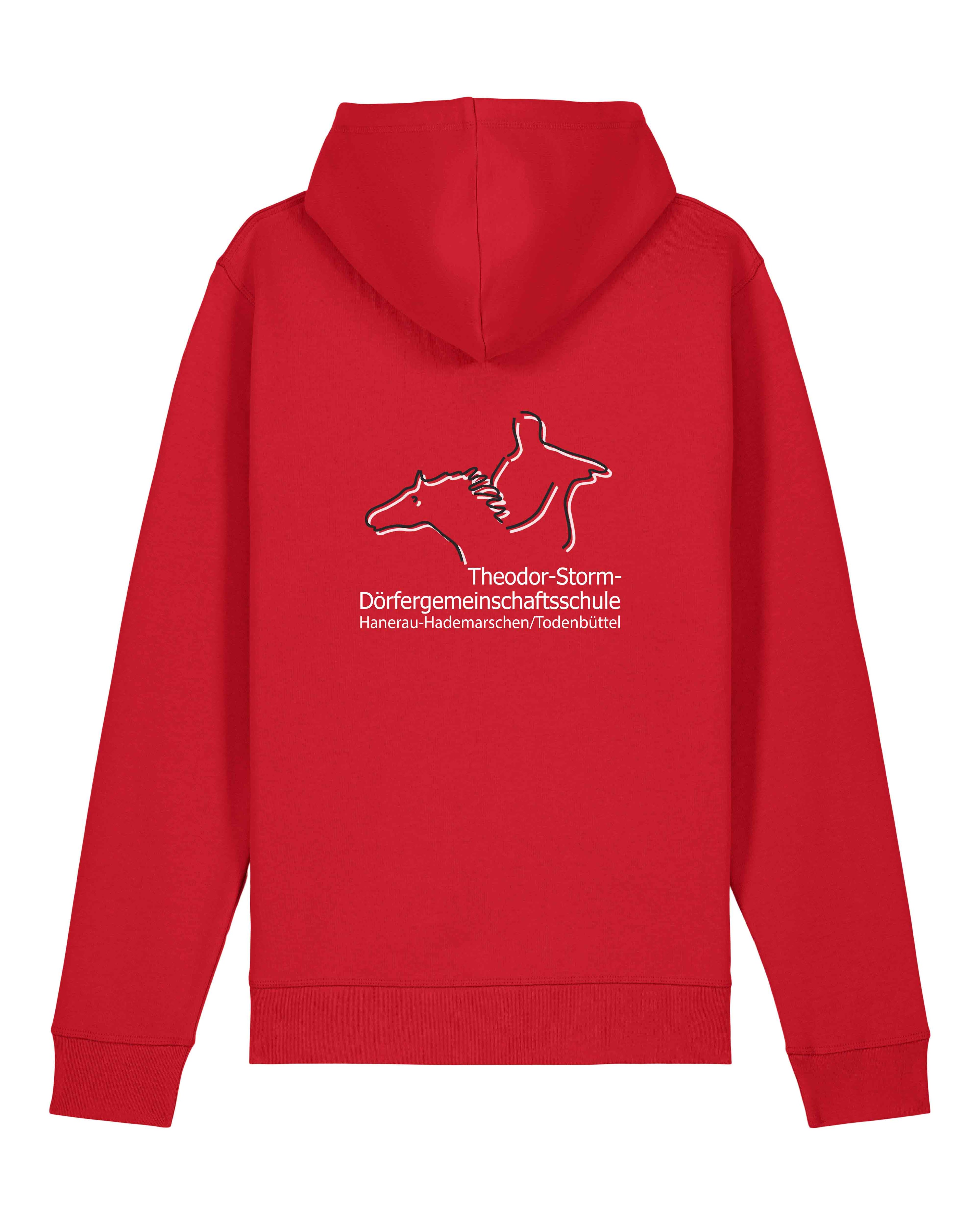 Unisex Hoodie | Theodor-Storm-Schule