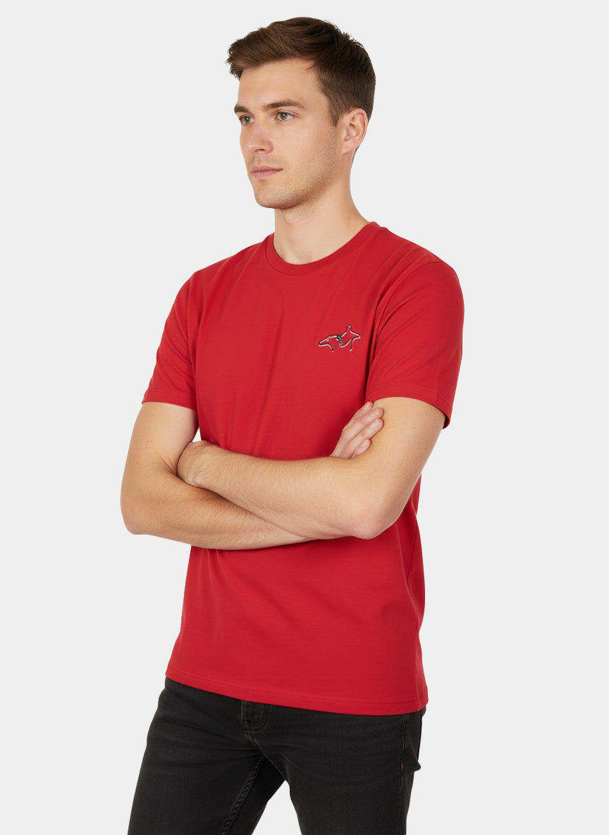 Unisex T-Shirt | Theodor Storm-Schule